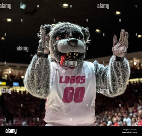 New mexico lobos basketball mascot